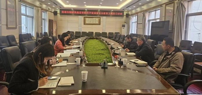 曲靖市财政局基层党组织开展国家安全教育主题党日活动