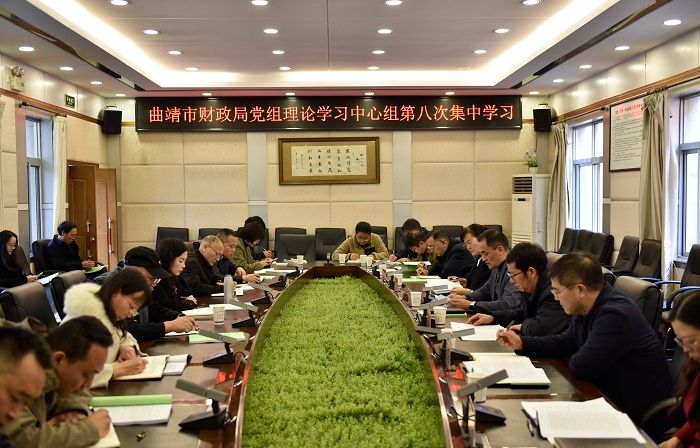 曲靖市财政局集中学习贯彻党的二十届四中全会精神