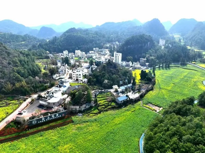 1755085418690000250.jpg 9.jpg