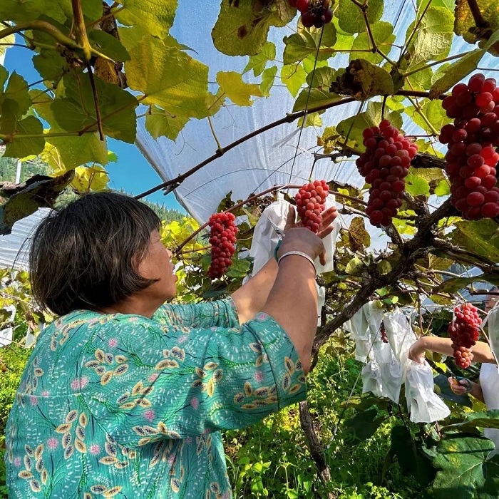 1755085427030031506.jpg 88.jpg