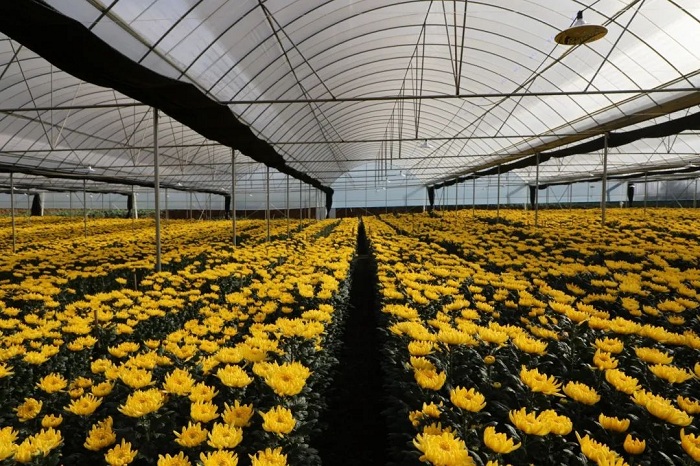 1755085437823041593.jpg 77.jpg