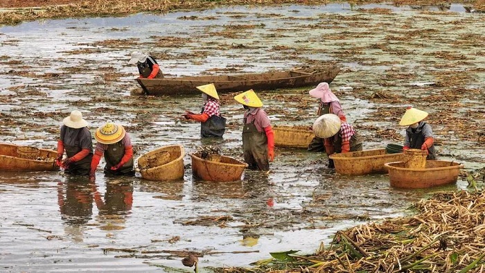 1761650182224090673.jpg 1.jpg