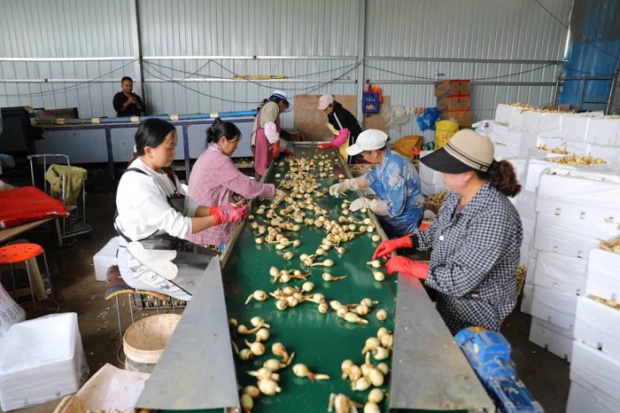 1761650192340060496.jpg 2.jpg