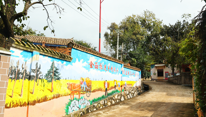 1772190092588069704.jpg 131313.jpg