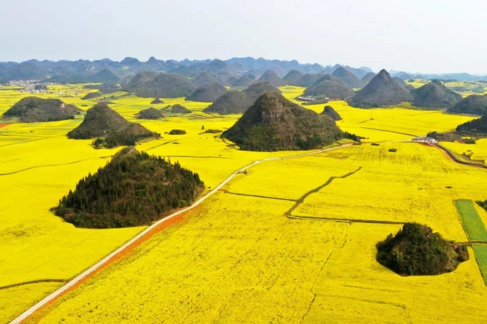 1772191506731044458.jpg 17177177.jpg