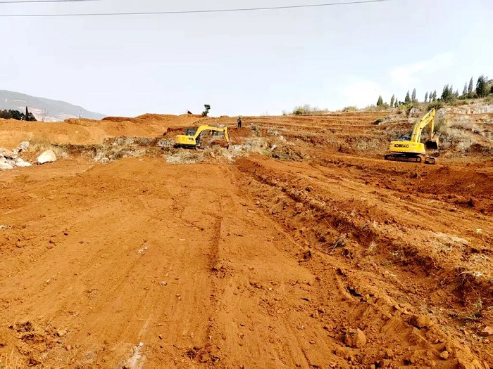 1773227672602078836.jpg 1111.jpg