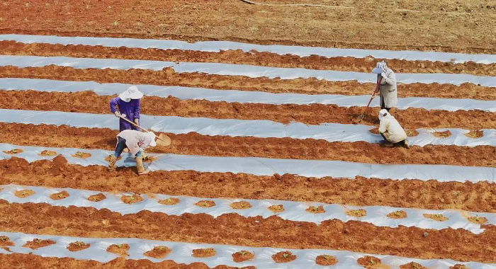 1773572942604018655.png 111.png