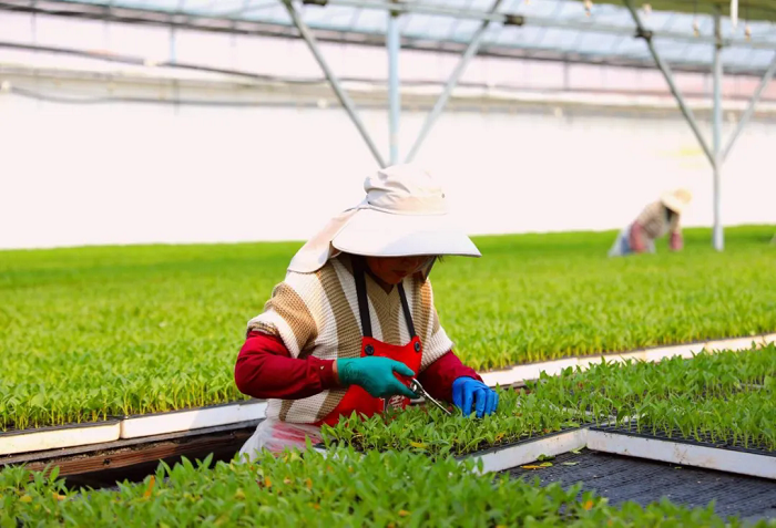 1773572952578061023.png 2222.png