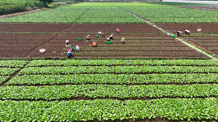 1773715621803066430.png 11111.png