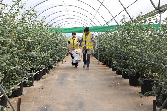 1773715641805009991.jpeg 33333.jpeg