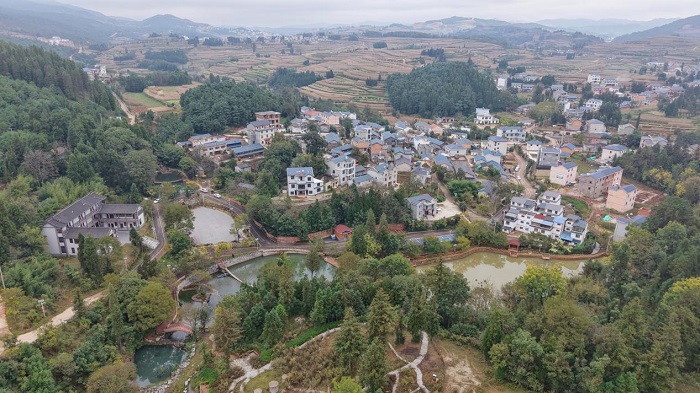 1773715677755052473.jpeg 666666.jpeg