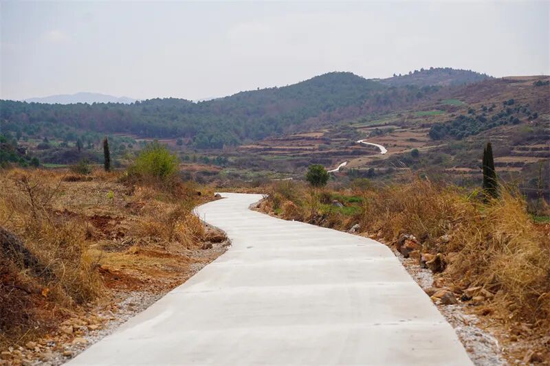 1773717887276064946.jpg 001.jpg