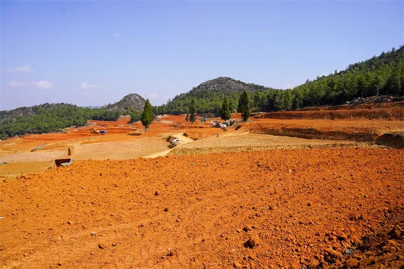 1773717897472071580.jpg 002.jpg