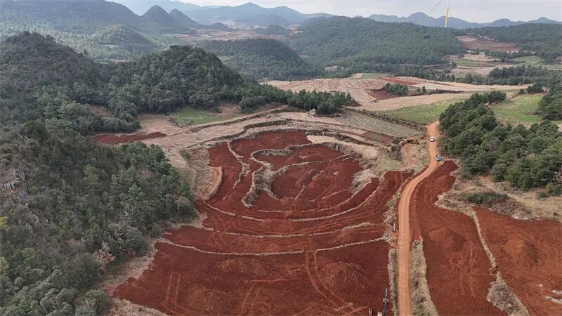 1773717907566064746.jpg 003.jpg